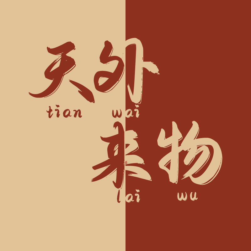 天外来物创意礼品 店铺LOGO