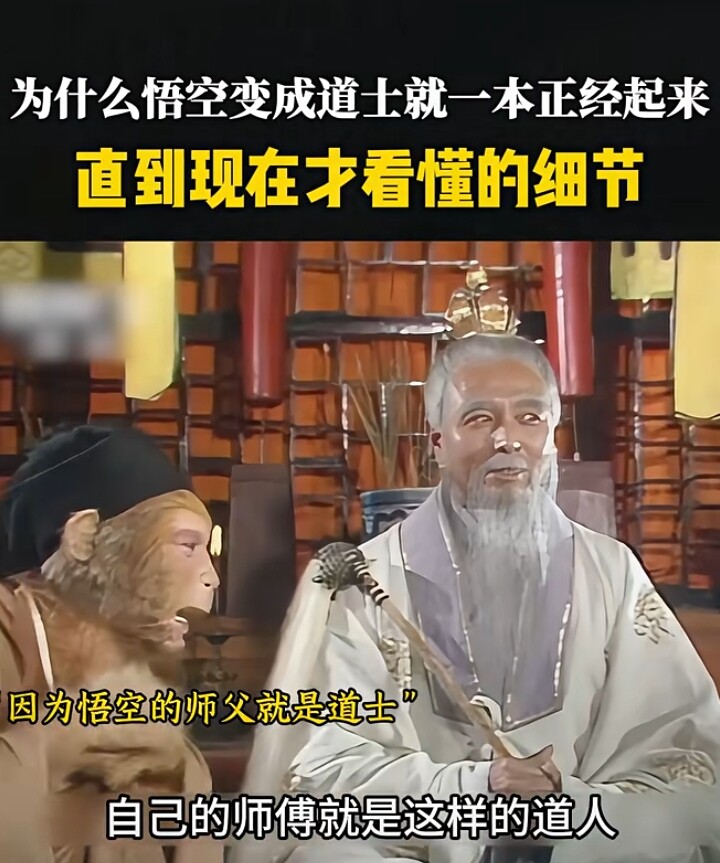王大皮本草一弘哥一说国医