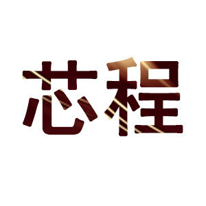 芯奇点车品直销店