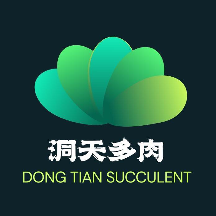 洞天多肉园艺