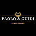 paologuidi旗舰店 店铺LOGO