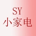 SY肆远智能科技店
