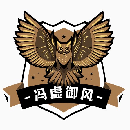 冯虚御风数码店