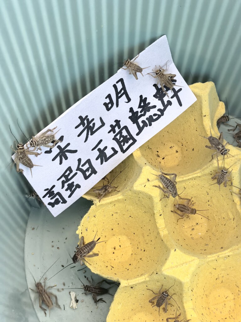 宋老明