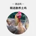 雨谦原生态农场