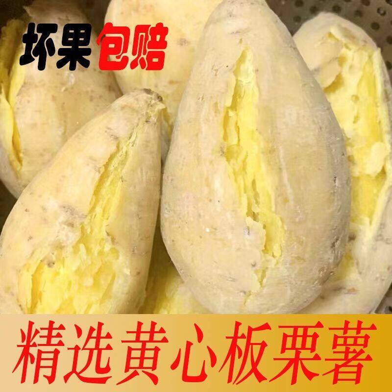 百薯农业