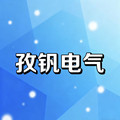 孜港电气 店铺LOGO