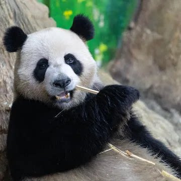 麦好吃美食卡券
