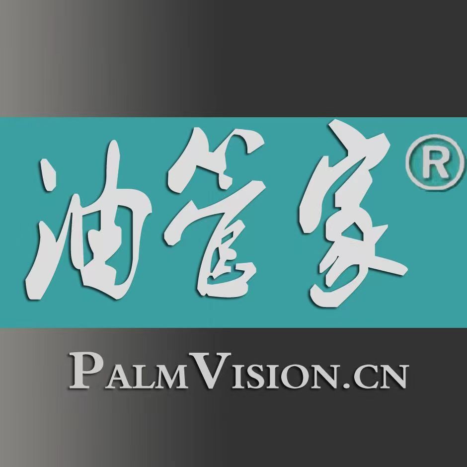 掌惠科技