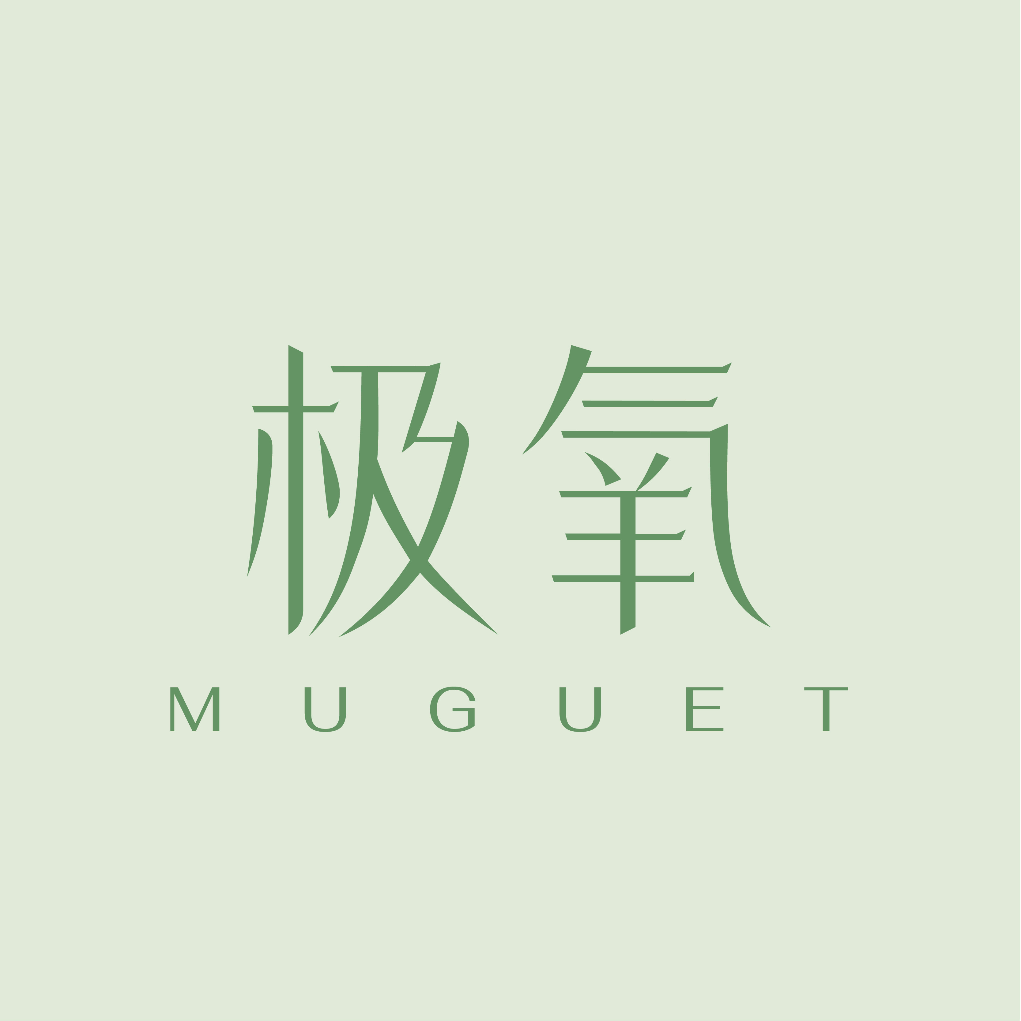 极氧旗舰店
