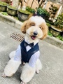 潮狗屋