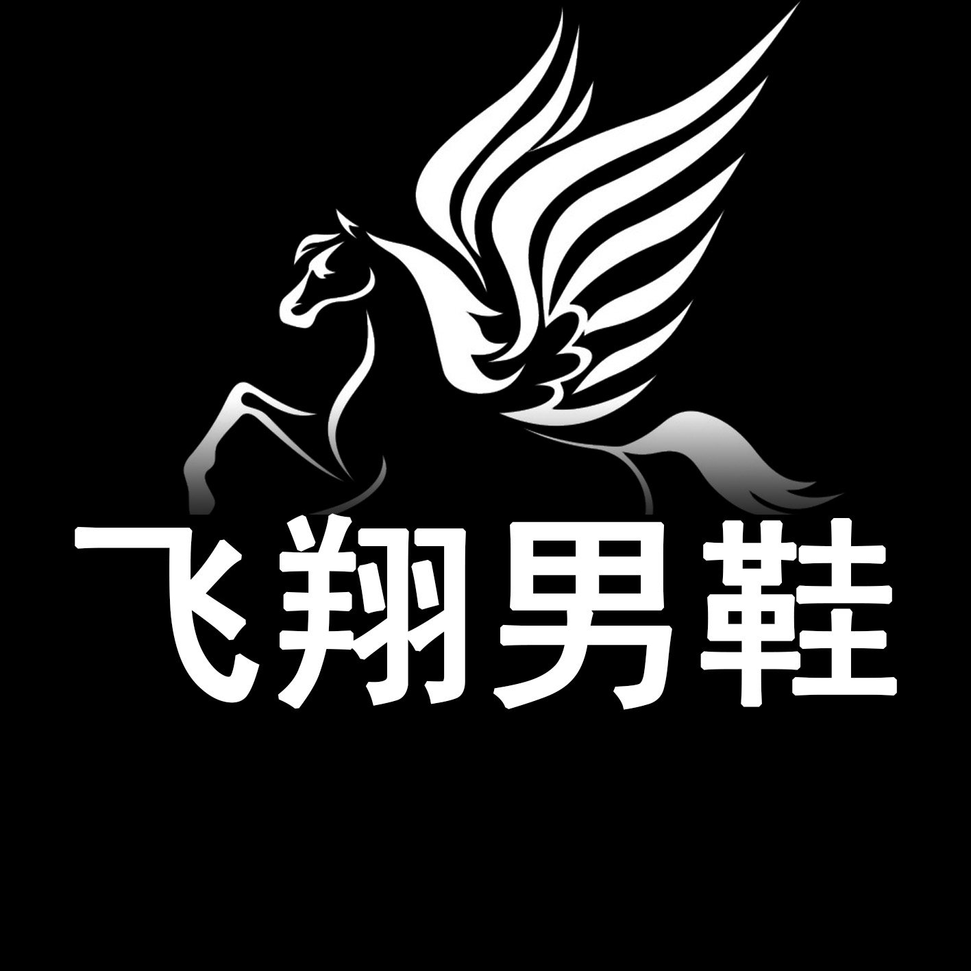 RO飞翔男鞋