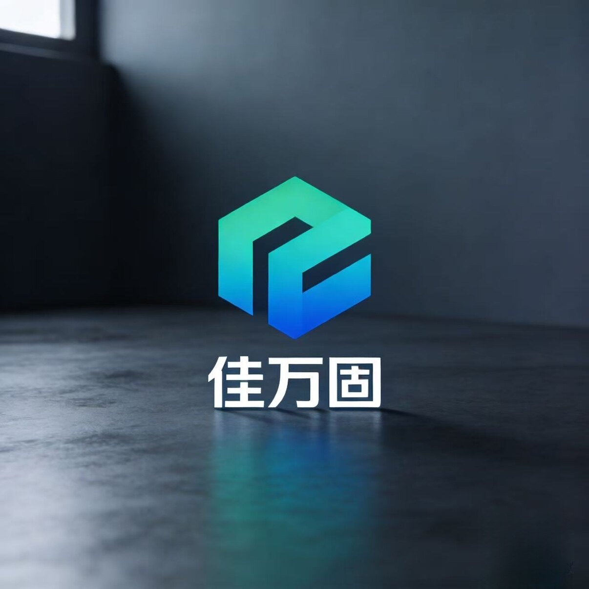 佳万固