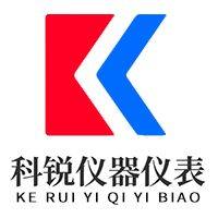 科锐仪表