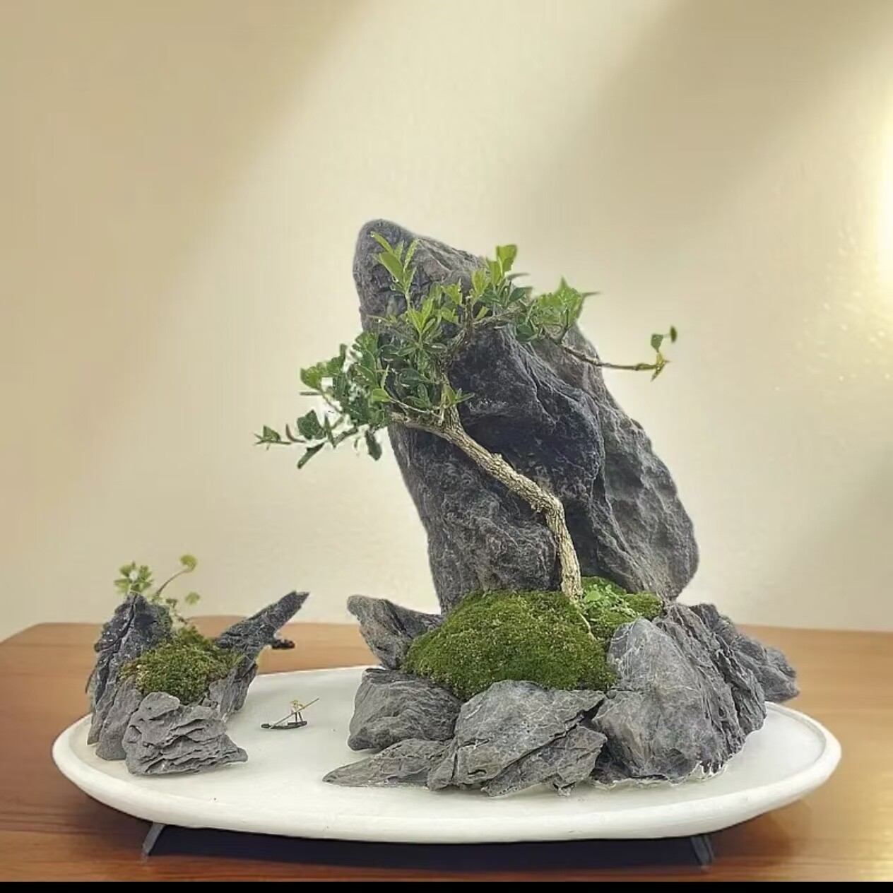 青龙石造景石