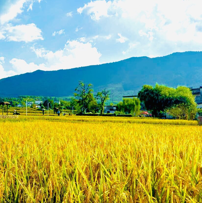 剑华家居节庆店