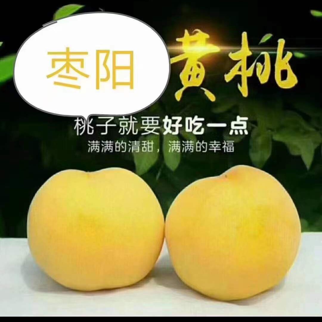 味尤真枣阳皇桃土特产
