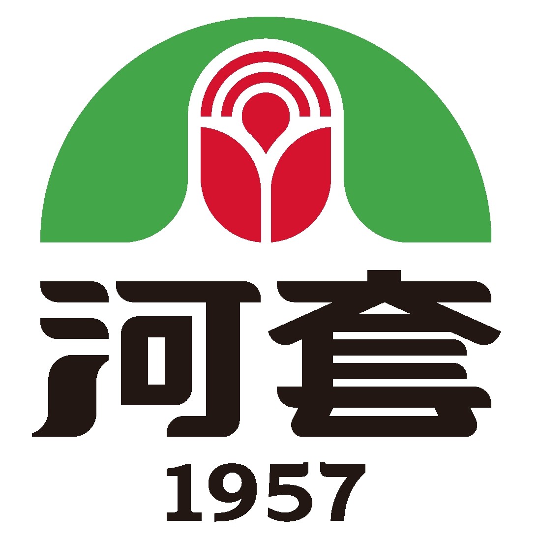 河套旗舰