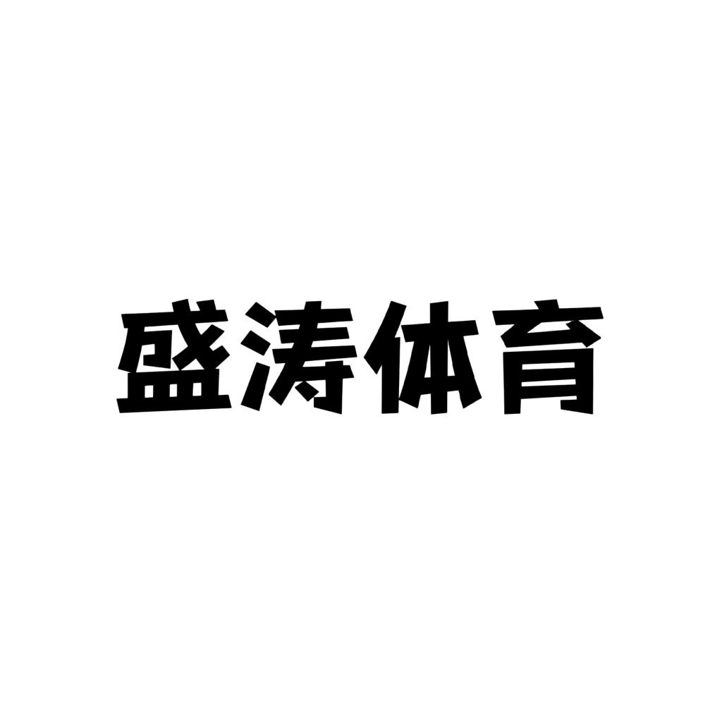 盛涛体育 只售正品