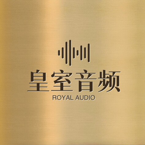 皇声电子厂家店