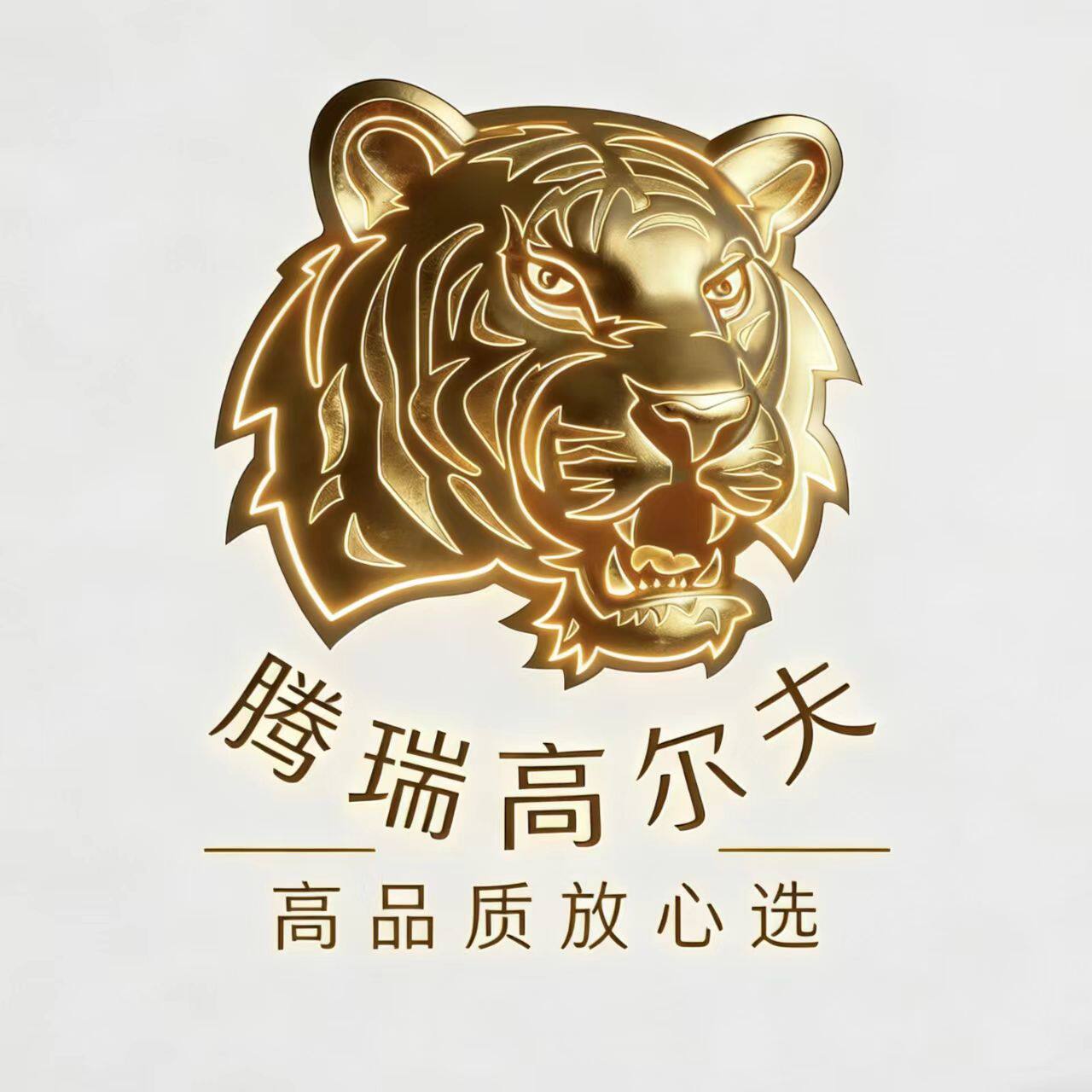 腾瑞高尔夫店 店铺LOGO