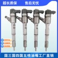 博威共轨油泵油嘴