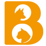 Bettering宠物用品 店铺LOGO