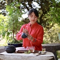 雨婷家茶铺