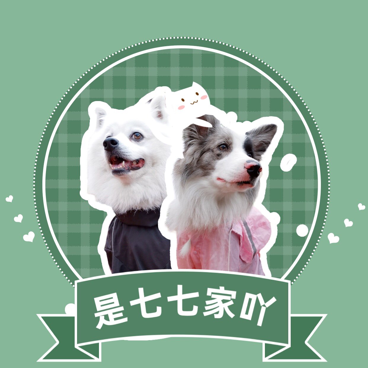 是七七家的宠物店吖