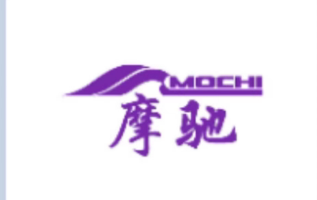 摩驰电车减震