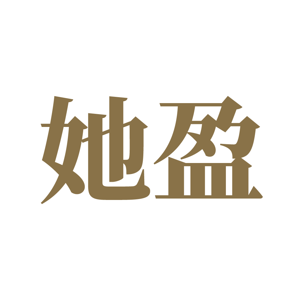 她盈旗舰店
