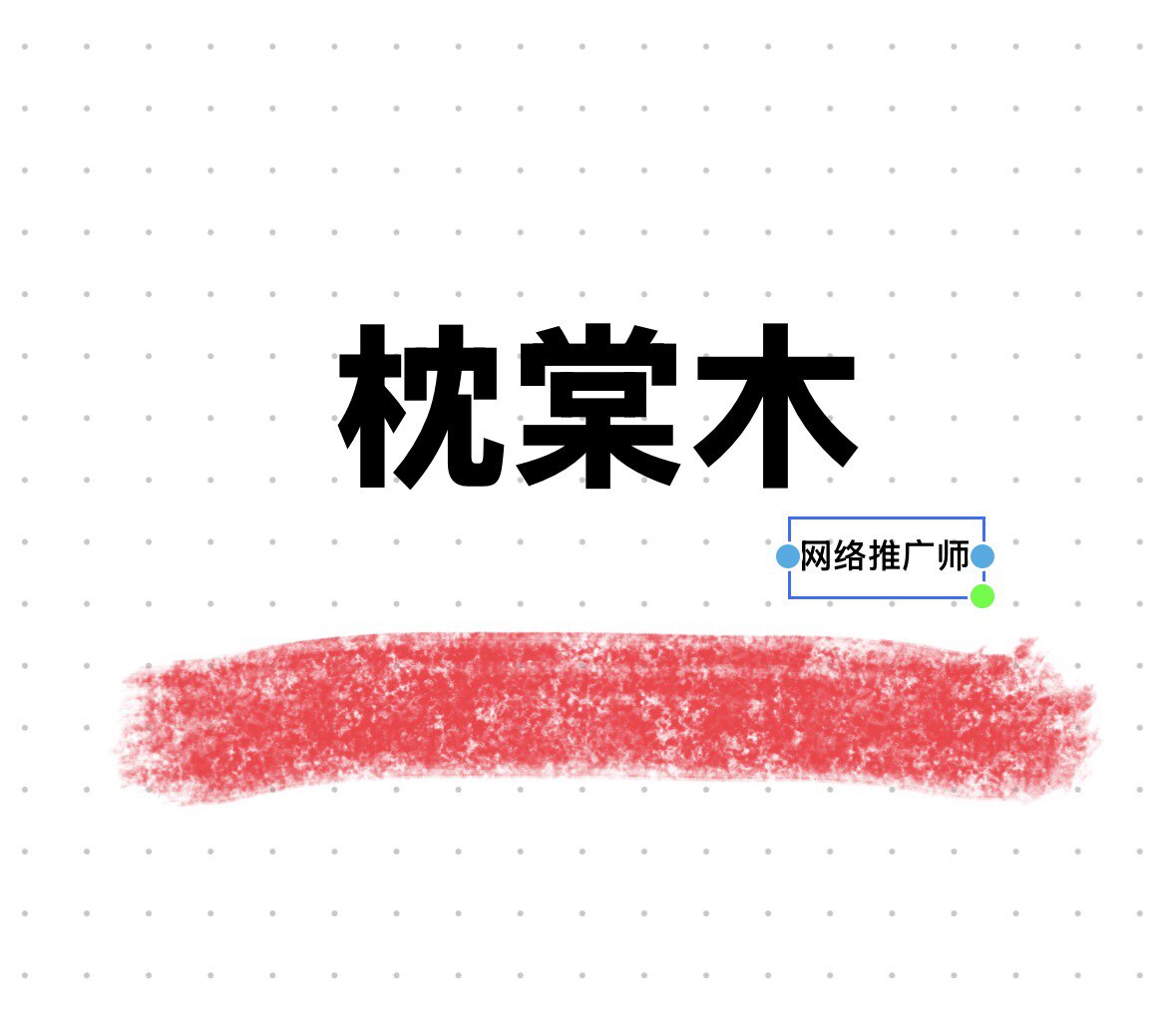 枕棠木网络推广师