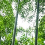 巧匠工艺小铺
