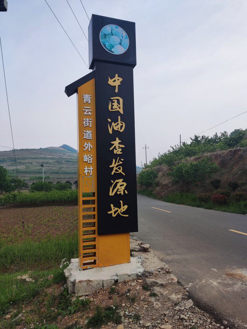 中国油杏第一村百杏园