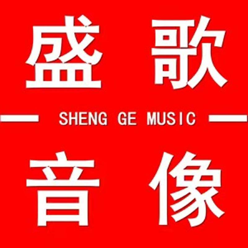 盛歌音像企业店