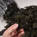 鼎丰水产企业店