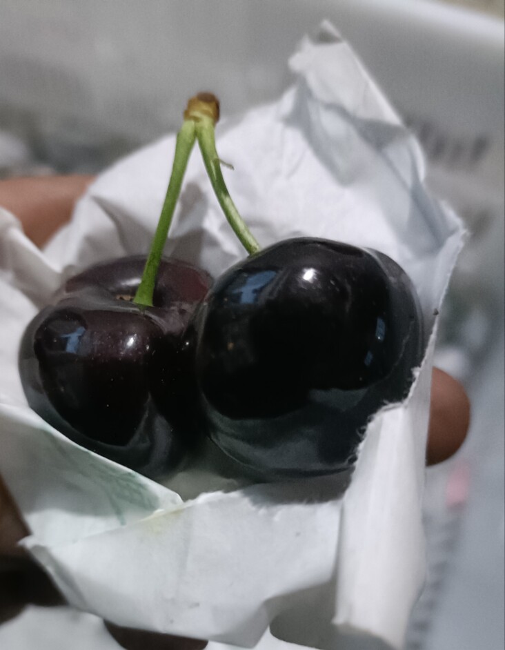 优品鲜果园