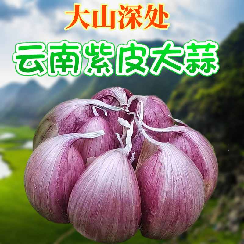 大理农家小铺