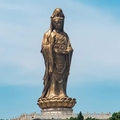 人在普陀山