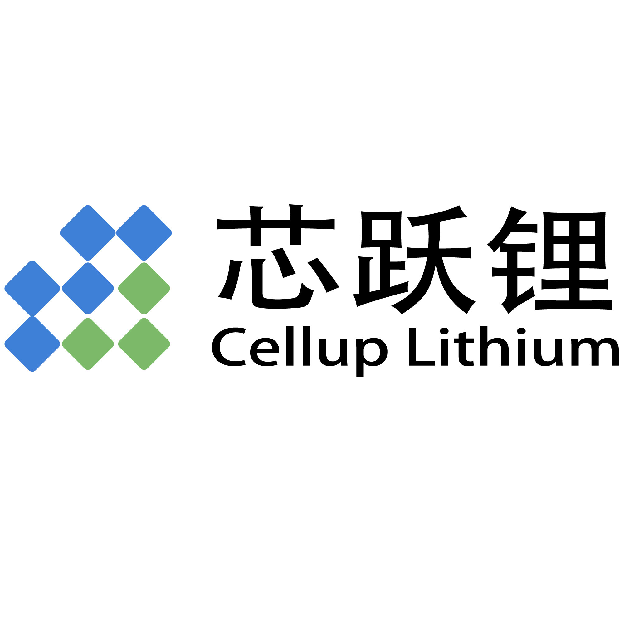 山东芯跃锂电池工厂店 店铺LOGO