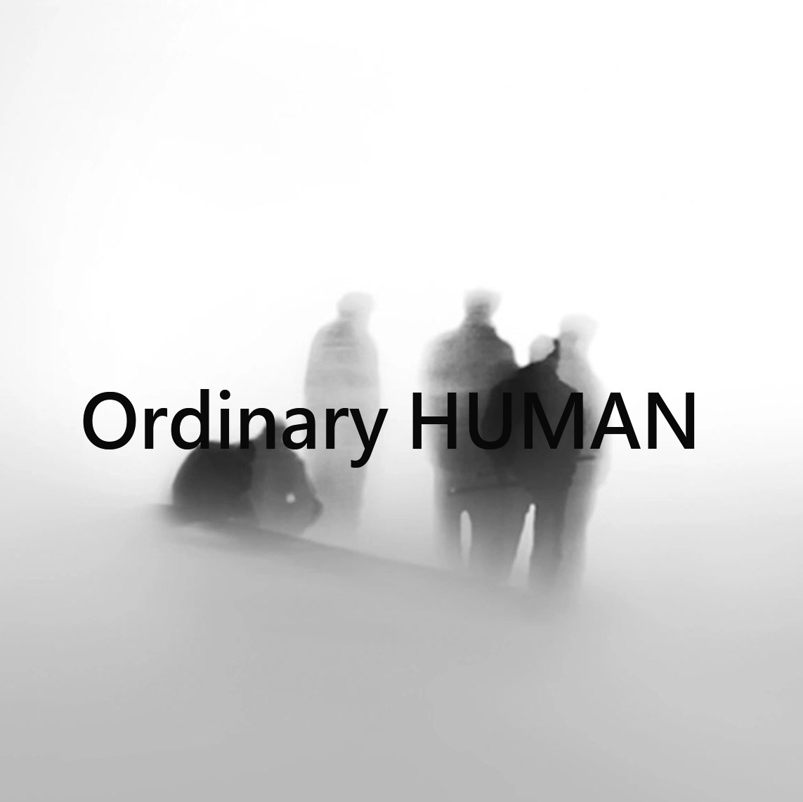 普通人类 Ordinary Human