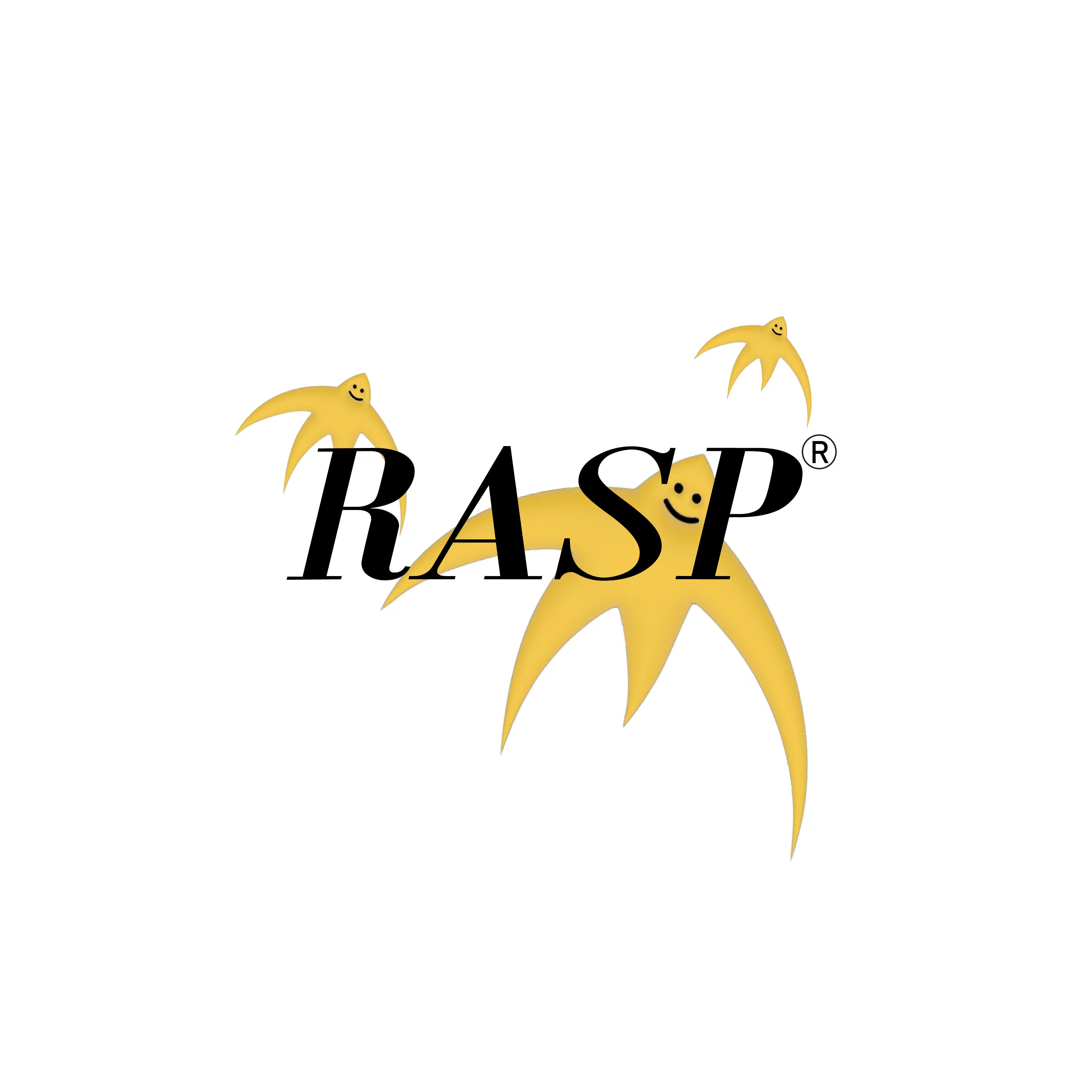 RASP中国
