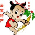 长白山云宝