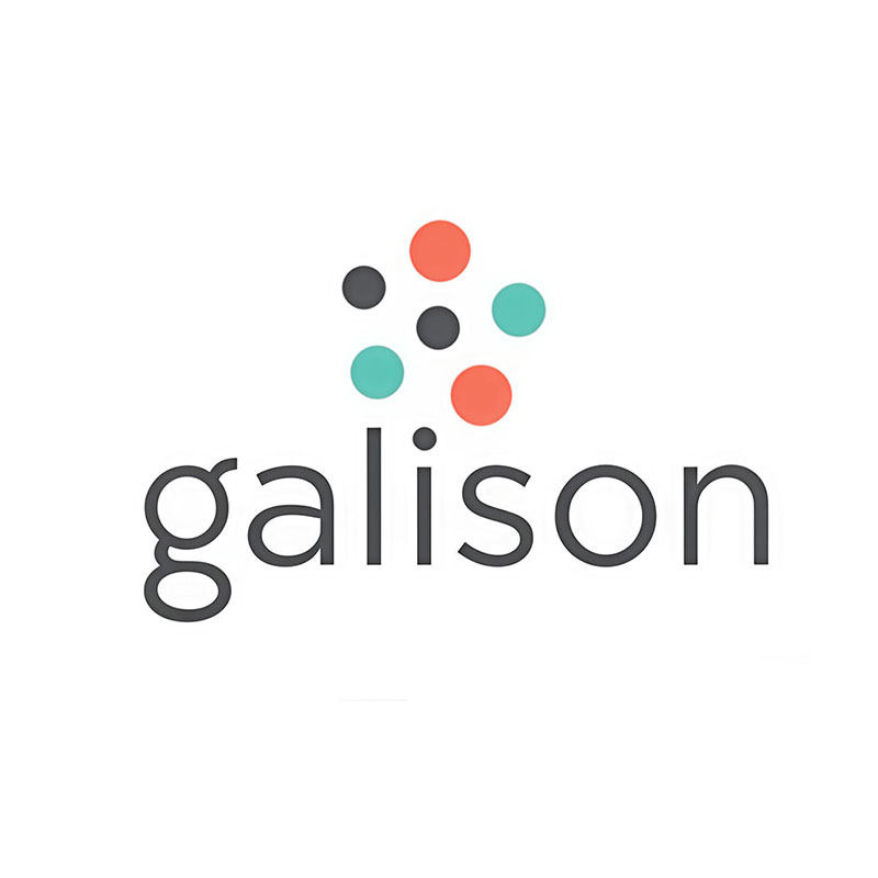 galison冬灯