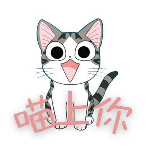 喵上你宠物用品店