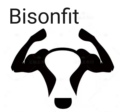 盛力健身BISONFIT