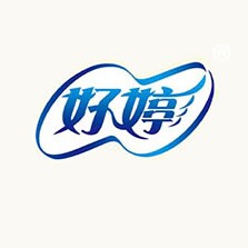 好婷洗护企业店