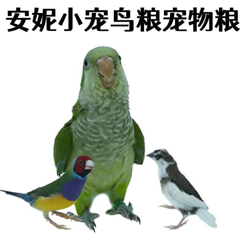 安妮小宠鸟粮兔粮鼠粮批发大全