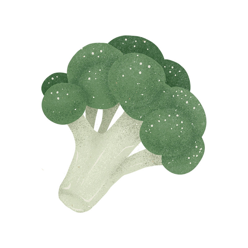 西兰花花 Le broccli