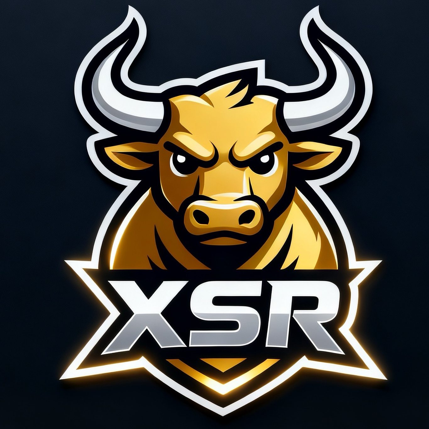 XSR旗舰店